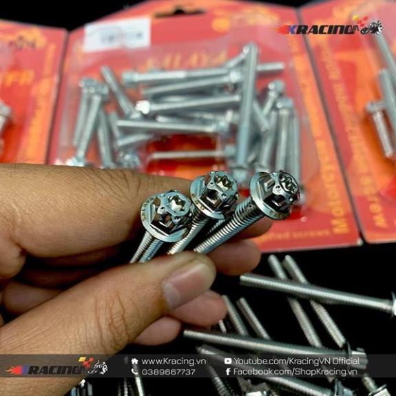 Bộ Ốc Lốc Máy Salaya Inox304 Cho Ex150  123