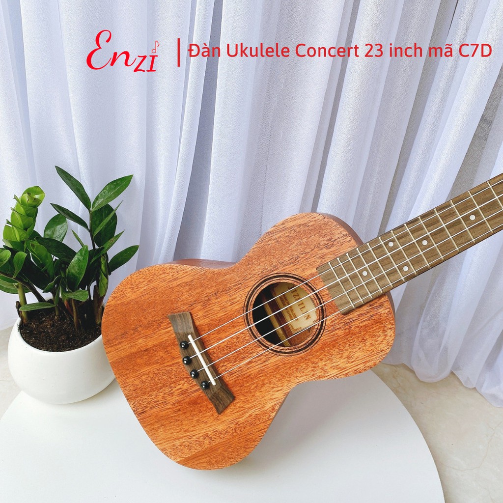 Đàn ukulele size 23 concert Enzi C12D gỗ chất lượng có chốt đàn, âm thanh chuẩn cho người mới bắt đầu