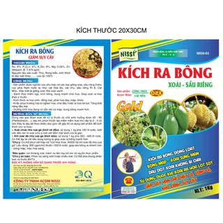 KÍCH RA BÔNG XOÀI