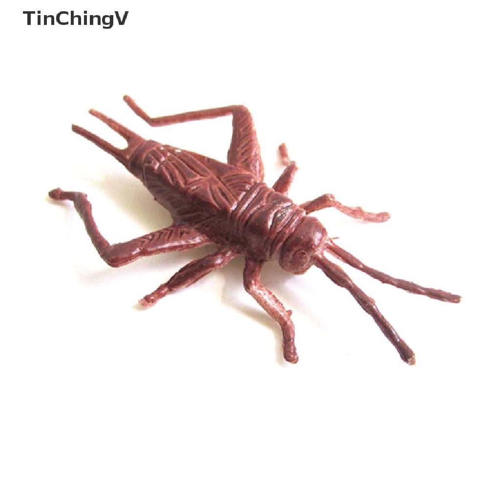 Set 8 Mô Hình Côn Trùng Bằng Nhựa Đồ Chơi Giáo Dục Cho Bé