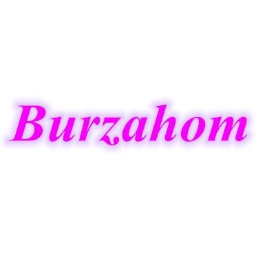 Burzahom 3C Store