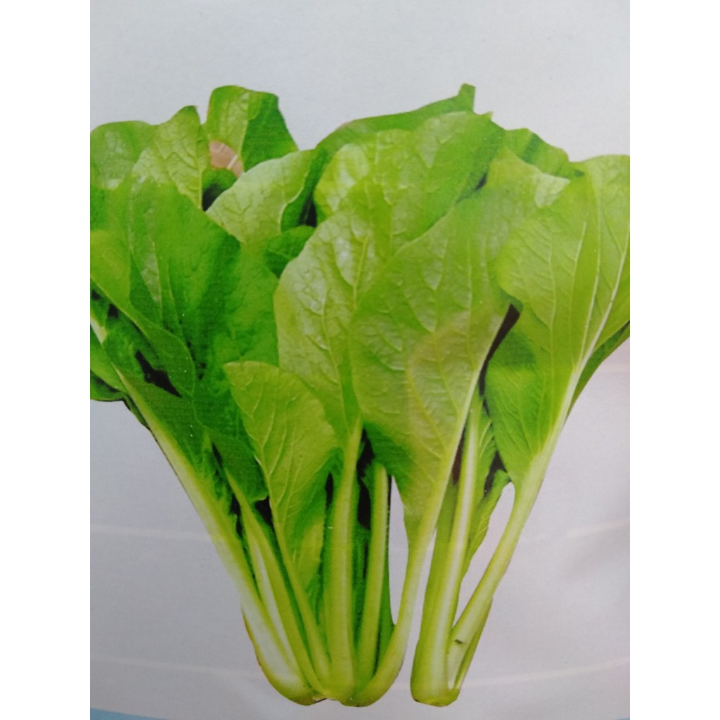 1KG Hạt Giống Cải Ngọt (| G1*W24)