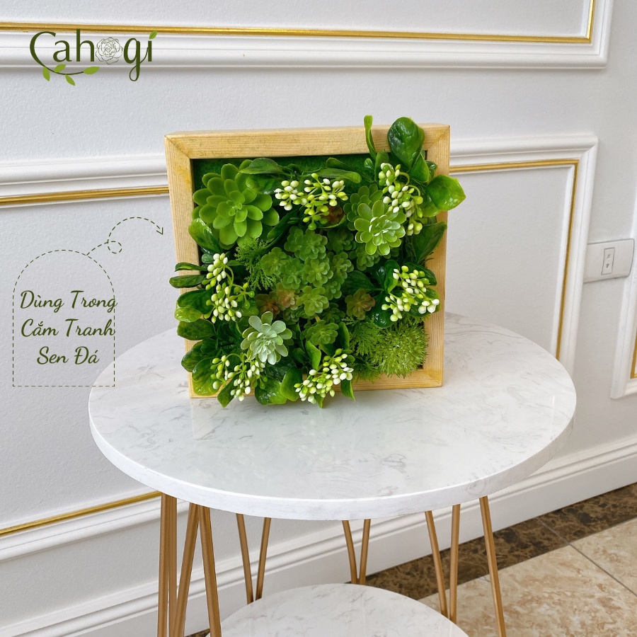 Khung Tranh Vuông Gỗ Thông Dùng Trong Cắm Hoa Và Trang Trí Tiểu Cảnh Terrarium Nhiều Kích Thước