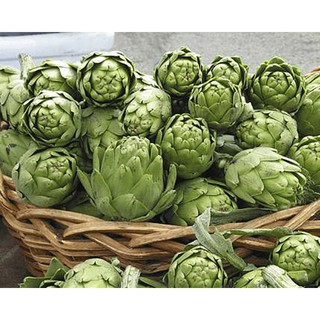 5 Hạt giống hoa Atiso xanh