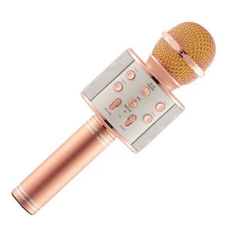 Micro Bluetooth V4.1 Karaoke Không Dây Model WS-858 Hỗ Trợ Thẻ Nhớ Và AUX - màu ngẫu nhiên