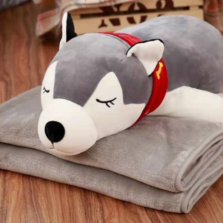 Gối mền chó Husky 3 trong 1, nỉ nhung cực mịn  𝐅𝐑𝐄𝐄𝐒𝐇𝐈𝐏  Bộ chăn gối văn phòng, gấu bông khăn quàng đỏ  kèm mền T2