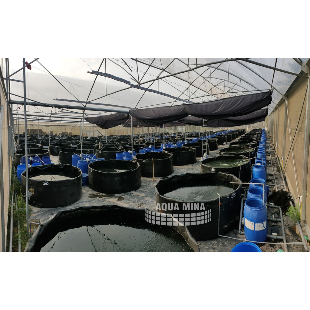 Bạt lót ao hồ 6m x 5m dày 0.5 bảo hành 5 năm