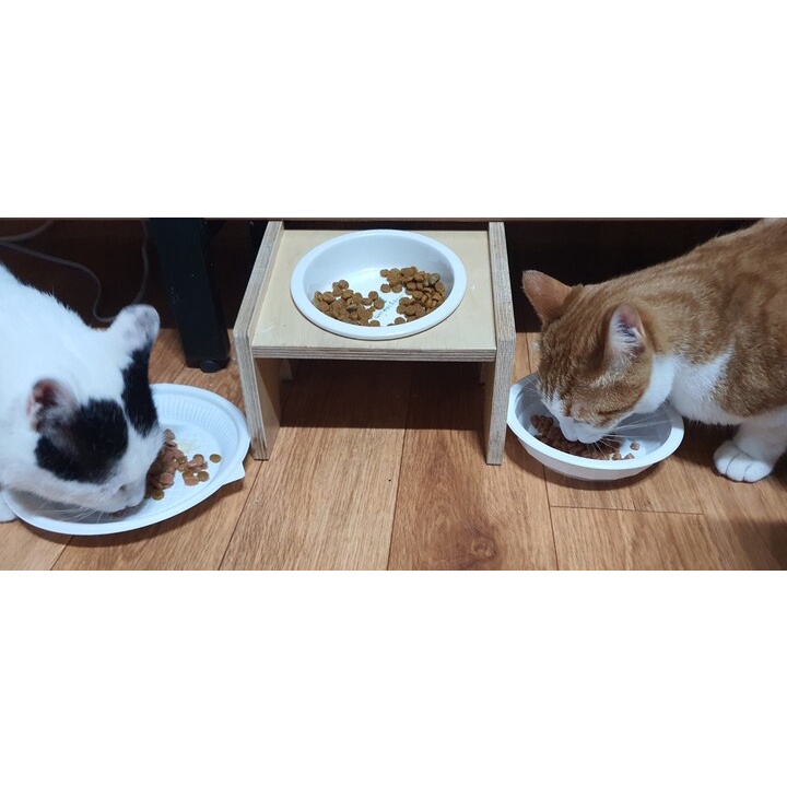 Thức ăn hạt CATSRANG bao 5kg chứa nhiều đậm dành cho mèo từ 3 tháng tuổi PET TOOLS