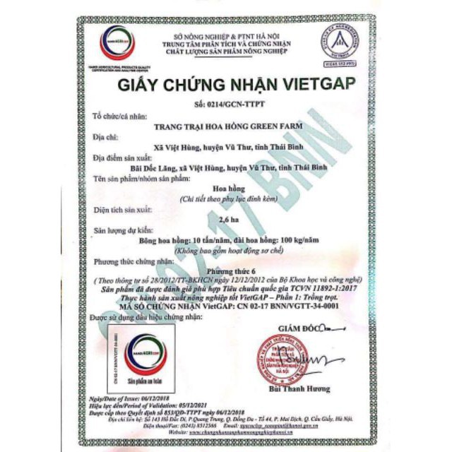 [Rẻ vô địch] Son Sáp Dưỡng Mềm Môi Laco. | BigBuy360 - bigbuy360.vn