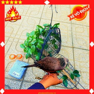 Lụp bẫy chim cu gáy chất lượng cao rẻ nhất thị trường