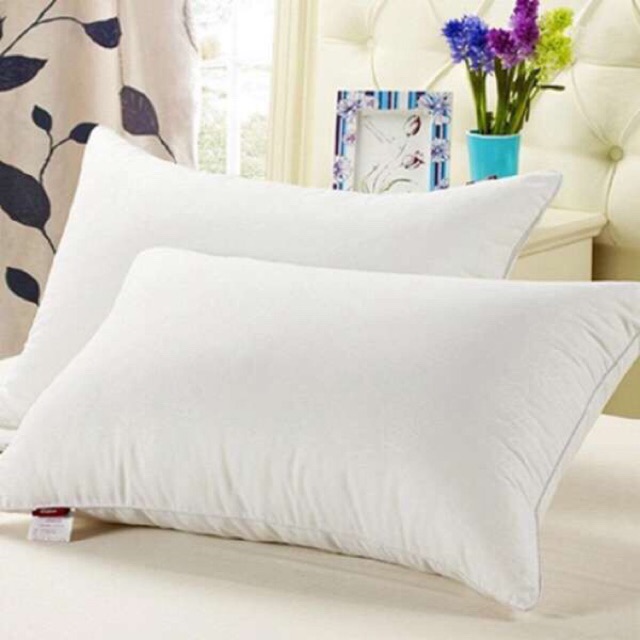 Ruột Gối Bông Hạt Cao Cấp 40X60Cm