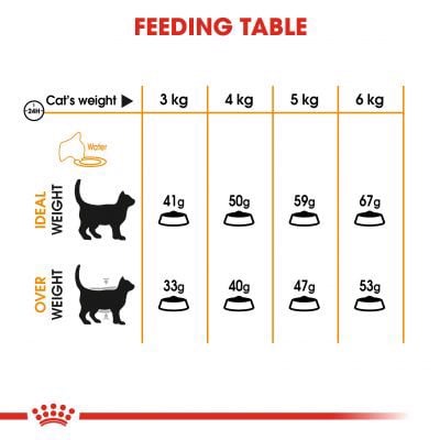 2kg - Hạt Hair &amp; Skin Care Royal Canin chăm sóc dưỡng da và lông khỏe mạnh cho mèo trưởng thành hiệu quả sau 21 ngày