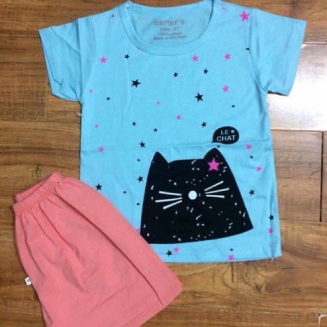 LÔ BỘ CHIM CÁNH CỤT 