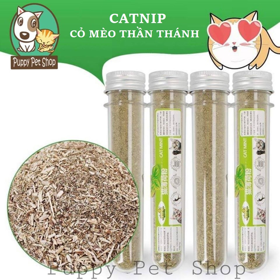 Bạc hà catnip cho mèo đùa nghịch 40ml