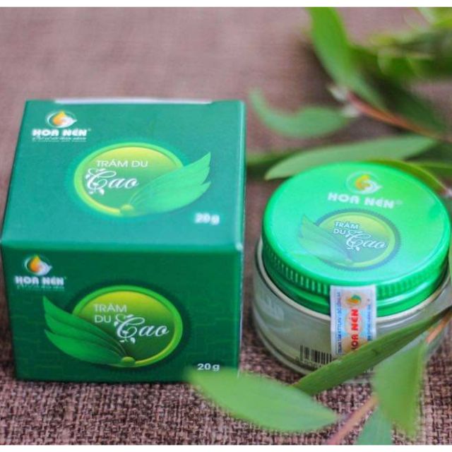 🌿🌿🌿 CAO TRÀM Hoa Nén [NGUYÊN CHẤT] - Trám Du Cao 🌿🌿🌿