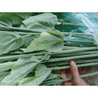 cành hoa hướng dương