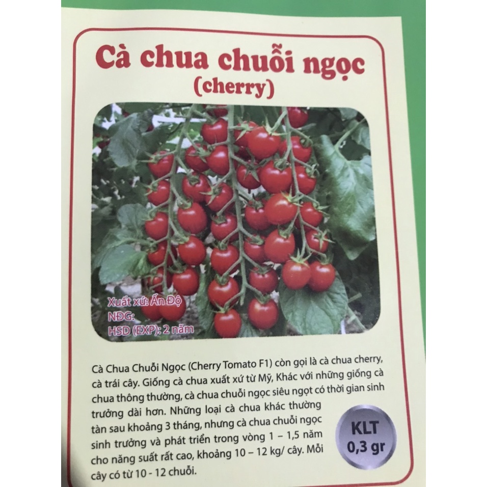 hạt cà chua, dưa chuột, bầu bí, mướp, nho lùn, đu đủ, đậu bắp, đậu rồng