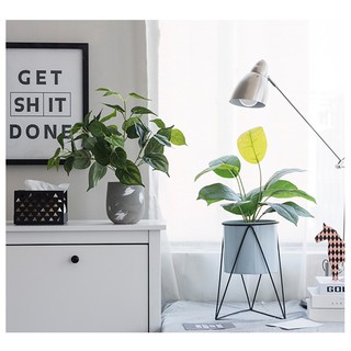 Cây giả decor trang trí loại nhỏ