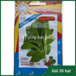 Hạt giống xô thơm Thái Lan gói 20 hạt