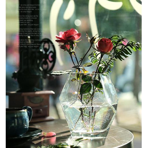 Bình hoa thủy tinh kim cương Bắc Âu PT008-2