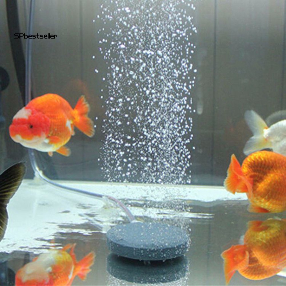 Đá Tạo Bọt Khí Oxy Tiện Dụng Cho Bể Cá 10/13/20cm