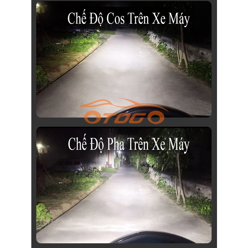 Đèn Bi Cầu Mini Led Y8 Thế Hệ Mới 42W , Chân H4 Siêu Sáng