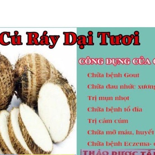 1KG Củ Ráy Dại