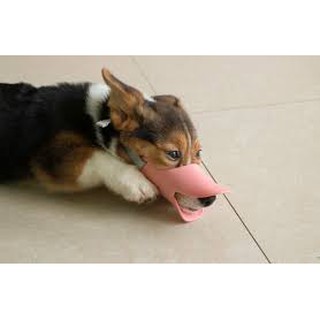 RỌ MÕM CHÓ HÌNH MỎ VỊT