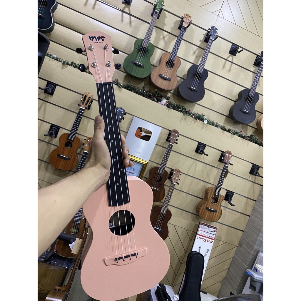 Đàn Ukulele chính hãng BWS size Concert - Carbon Fiber chuyên dụng