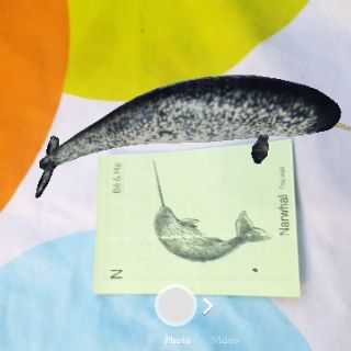 Bộ 31 thẻ ảnh animal 4d (chất liệu bìa giấy A4)