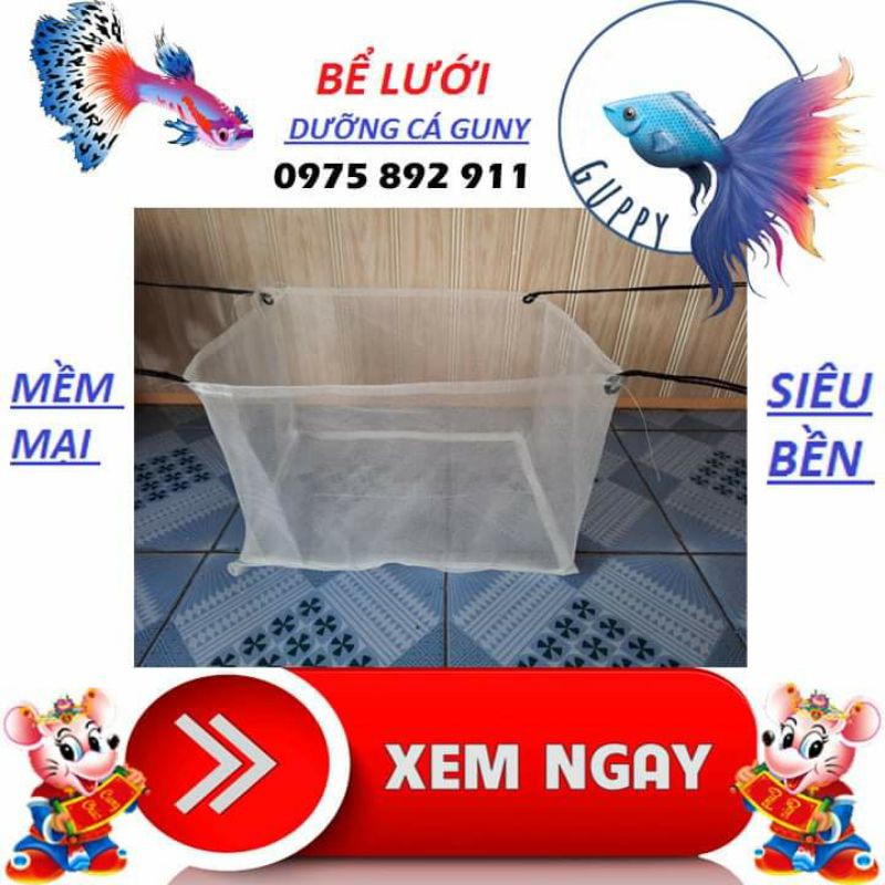 bể lưới dưỡng cá cảnh guppy