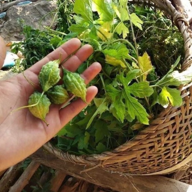 Bột khổ qua - mướp đắng nguyên chất 100% - ngừa mụn, tiêu viêm, trắng da, giảm dị ứng | Bột Natural