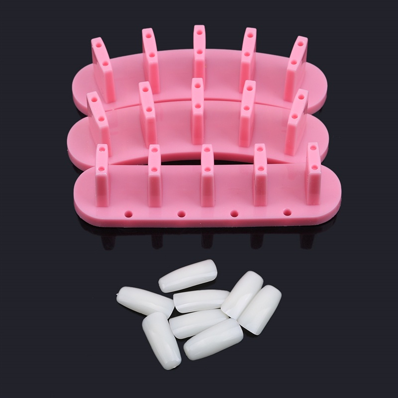 Set 3 giá đỡ tập làm móng + móng tay giả