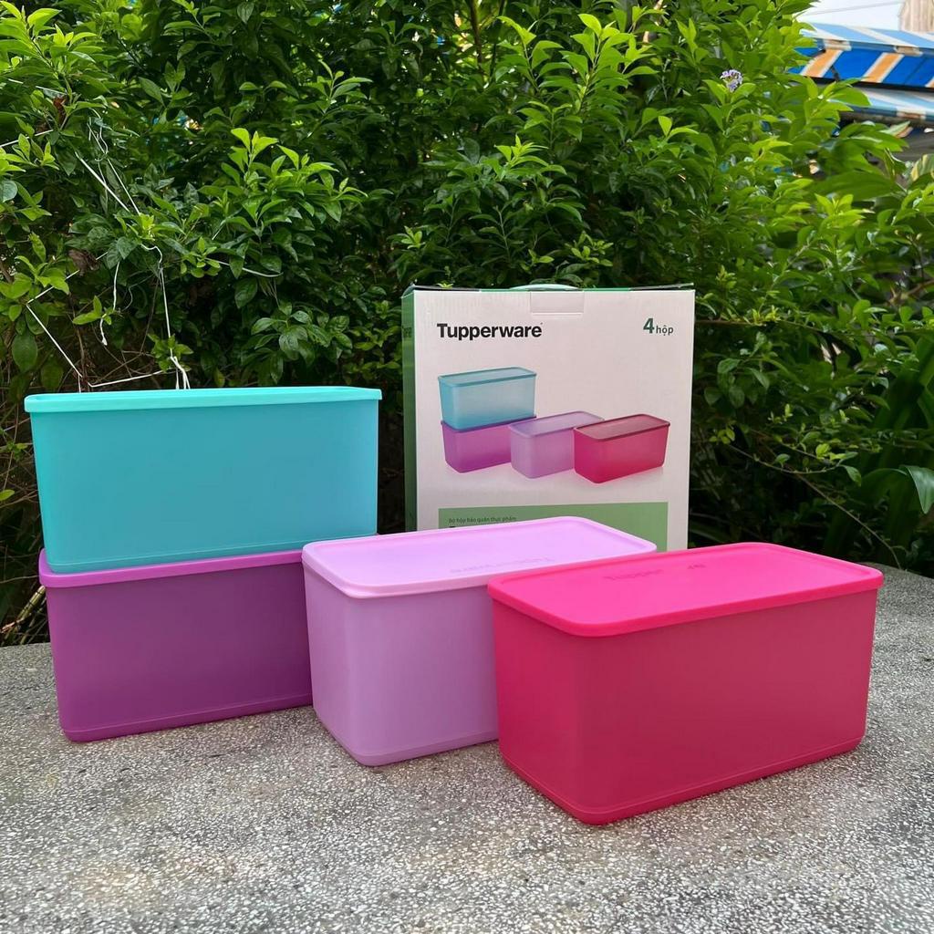 BỘ HỘP BQTP FUNTASTIC