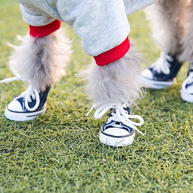 Giày cho thú cưng đế PVC chống trơn trượt kiểu dáng thể thao cá tính