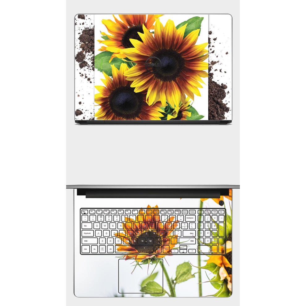 [SKIN HELIANTHUS ANNUUS] SKIN dán Laptop in hình hoa hướng dương. Full các loại máy: Asus, Dell,... In hình theo yêu cầu