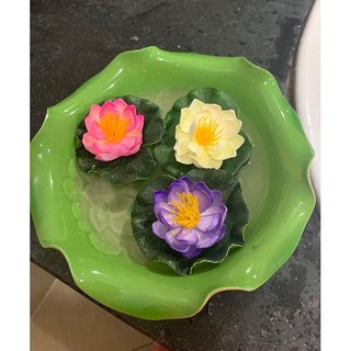 Hoa sen thả bát,hoa xốp