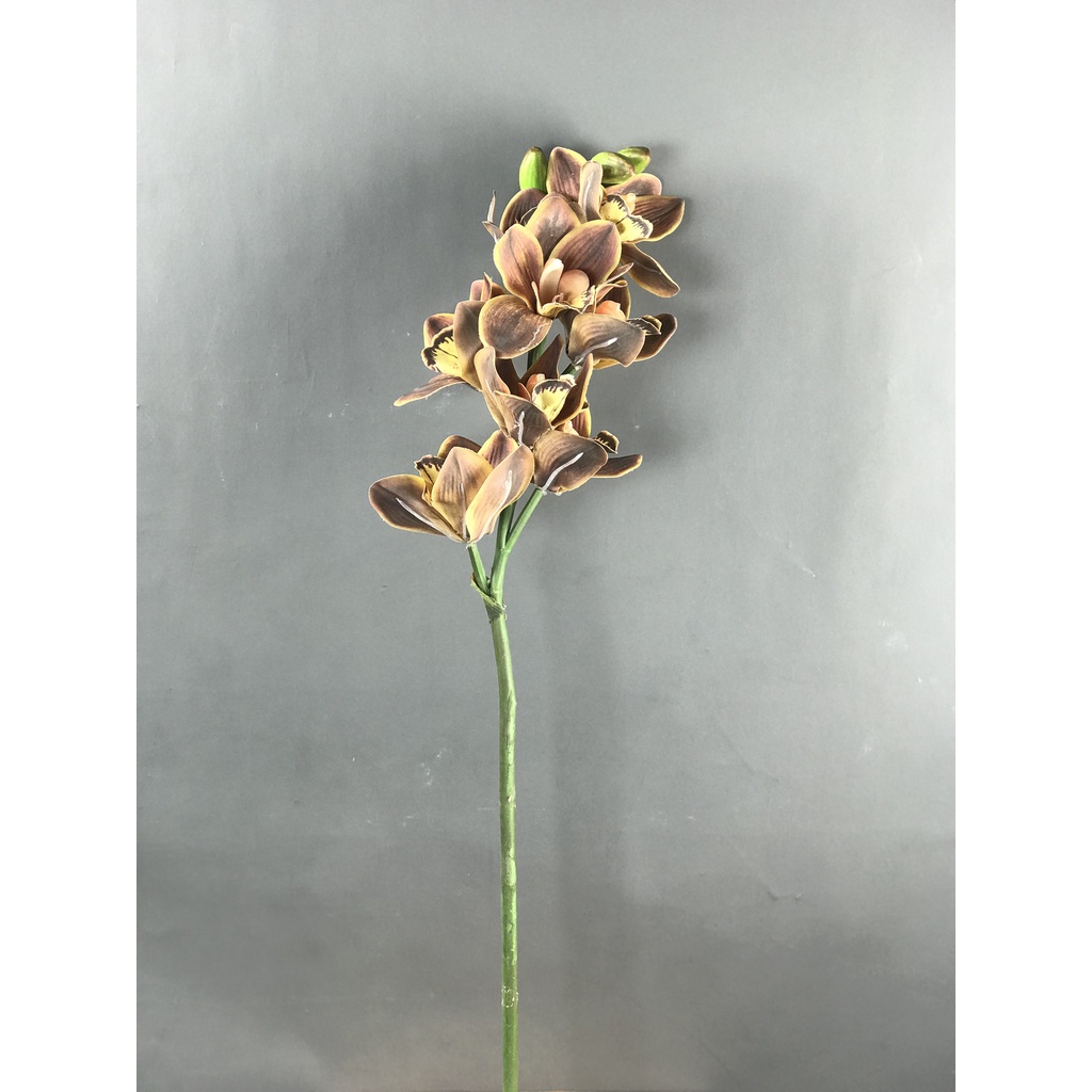 Cành địa lan màu nâu đất  - HC00055 -