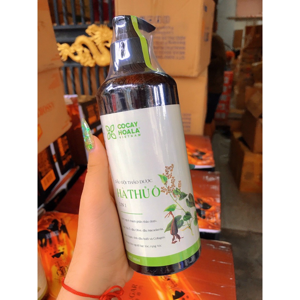 Dầu gội thảo dược Hà Thủ Ô 800ml - mẫu mới