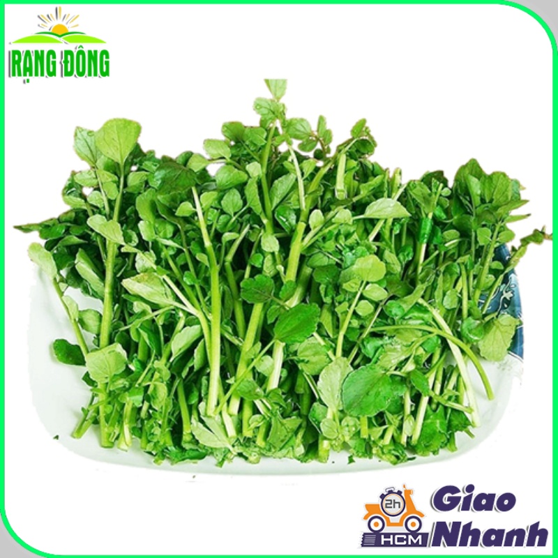 Hạt giống Xà Lách Xoong Sinh Trưởng Khỏe, Trồng Quanh Năm (gói 1 gram) - Hạt Giống Rạng Đông