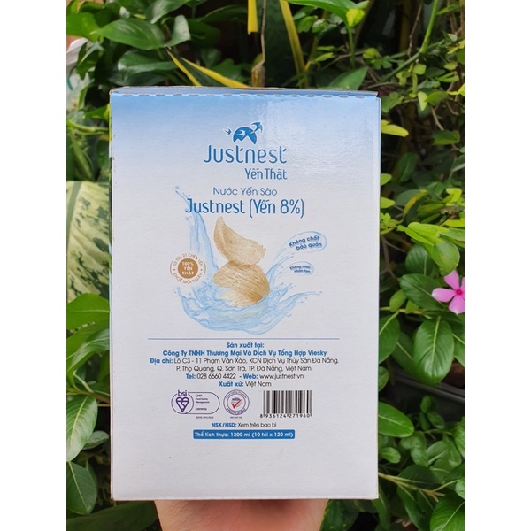 Lốc 10 túi yến sào Justnest