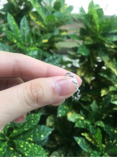 Nhẫn xoắn inox