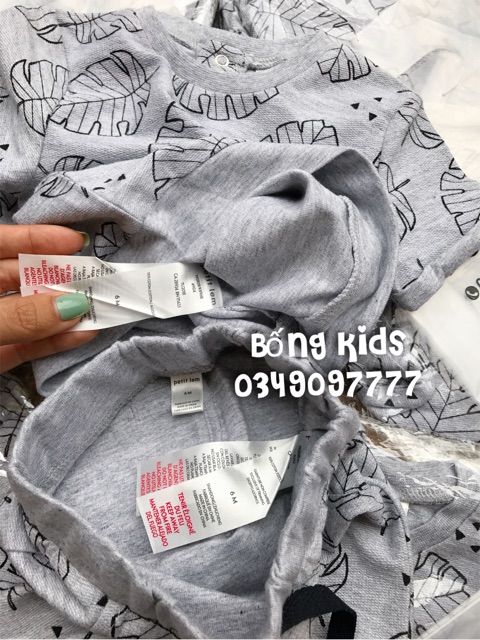 Bộ Hè Bé Trai Chiếc Lá Ghi petit lem