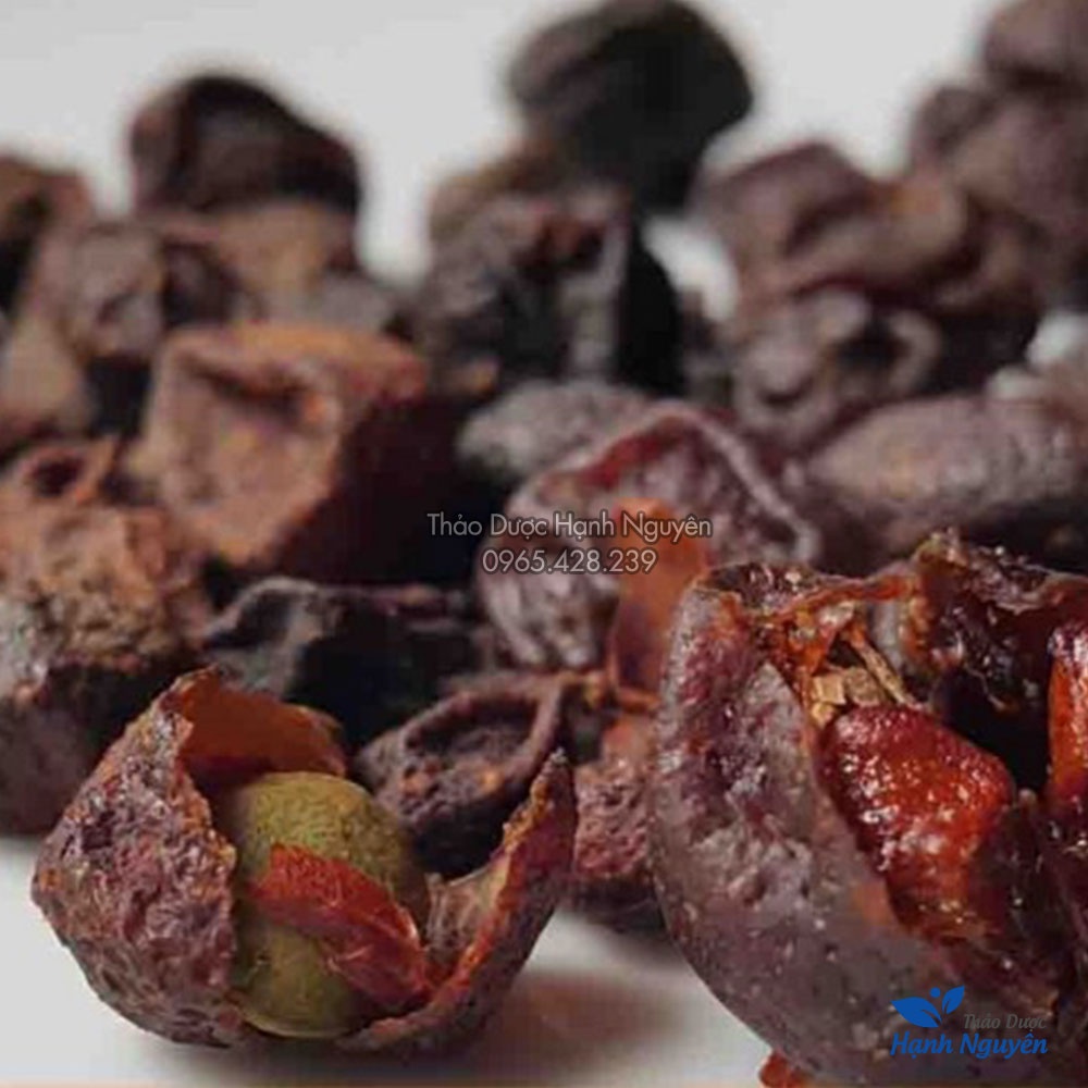 Hạt mắc mật khô 100g  - Thảo Dược Hạnh Nguyên