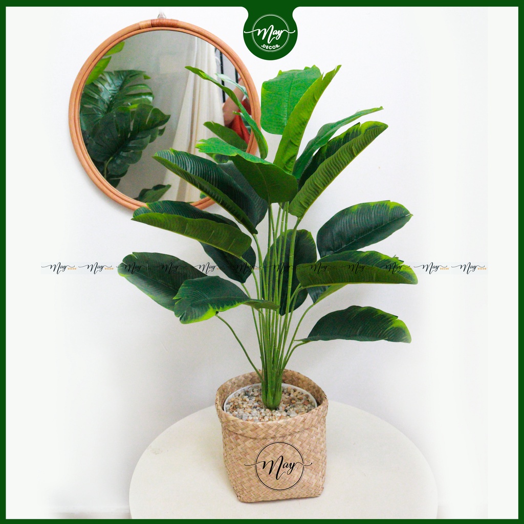 Cây giả, Chuối Thiên Điểu giả trang trí 85,1m3,1m6
