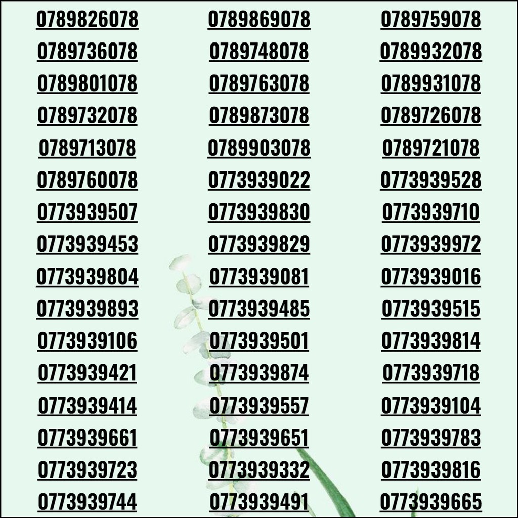 Sim số đẹp, sim 3G/4G/5G giá rẻ phong tiến khuyến mãi vĩnh viễn có thể sảnh tiến, tứ quý, lộc phát max data