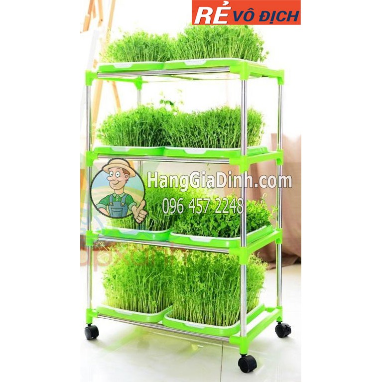Bộ kệ trồng rau mầm cỏ lúa mì 4 tầng + 8 khay có bánh xe di khung inox khay 2 lớp