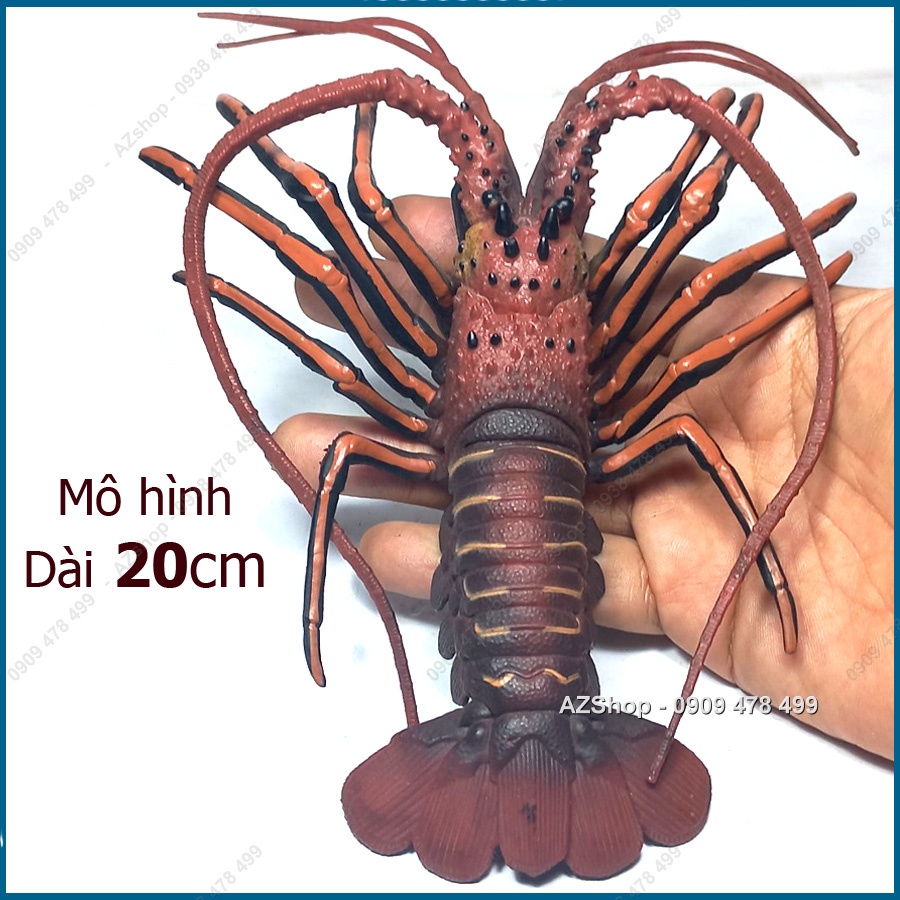 Mô Hình Tôm Hùm Tôm Càng Lobster - 7676