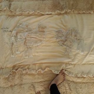 Chăn lạc đà hàng cao cấp