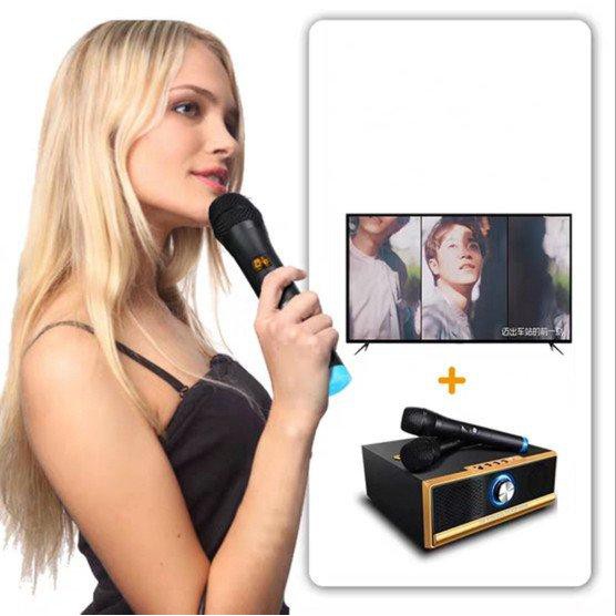 Bộ hát Karaoke 2 mic cao cấp UHF Wireless Microphone 2000mAh - Home and Garden